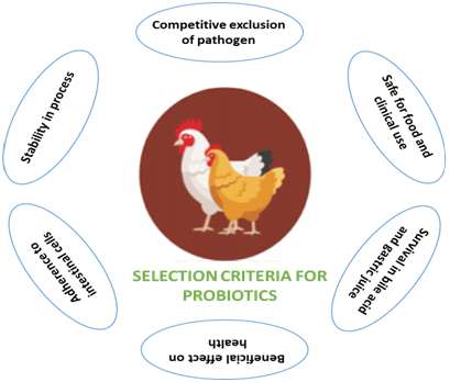 Criteria for Selection of Probiotics | Agrivet
