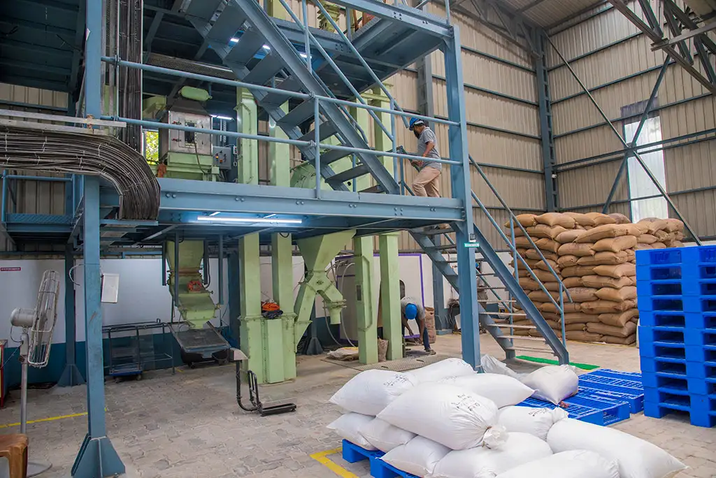 Feed Plant Gallery 19