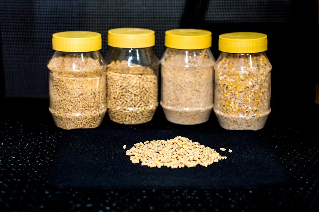 Feed Plant Gallery 2