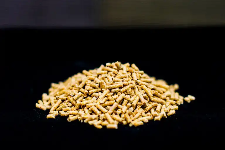 Feed Plant Gallery 5