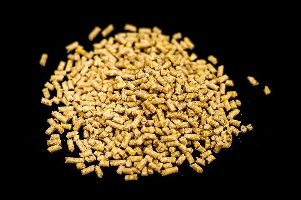 Feed Plant Gallery 6