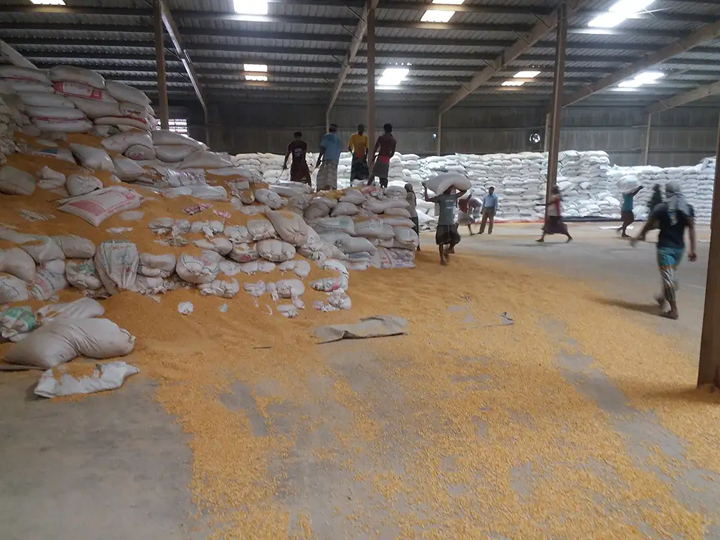 Inspection Service Gallery 1