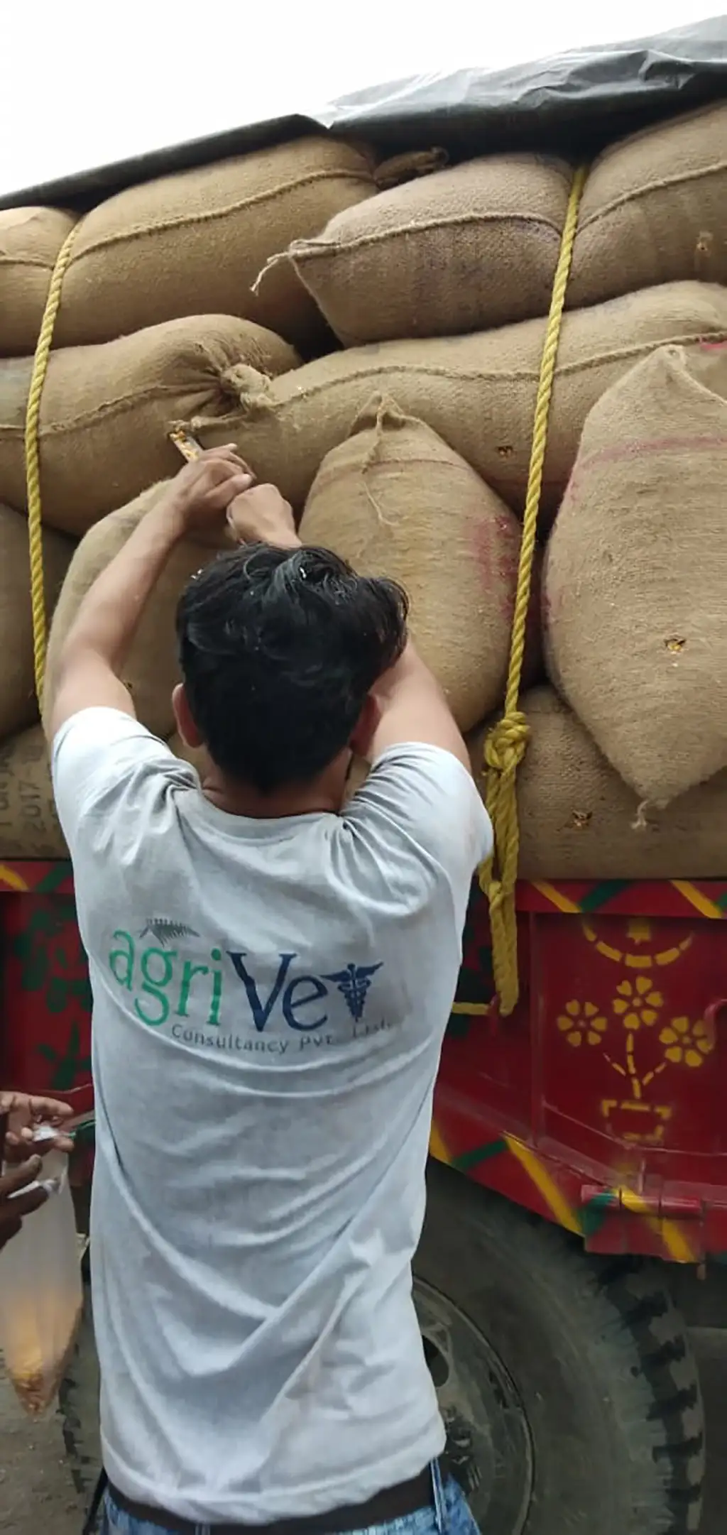 Inspection Service Gallery 12