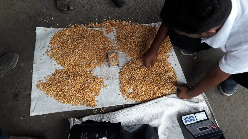 Inspection Service Gallery 16