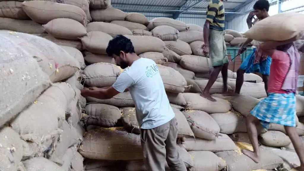 Inspection Service Gallery 22