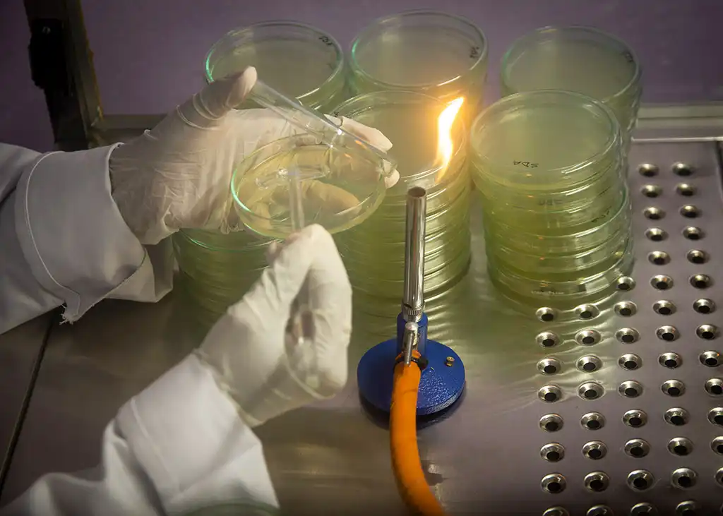 Laboratories Gallery 23