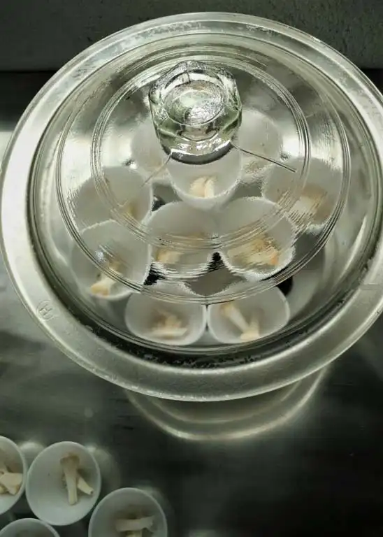 Laboratories Gallery 30