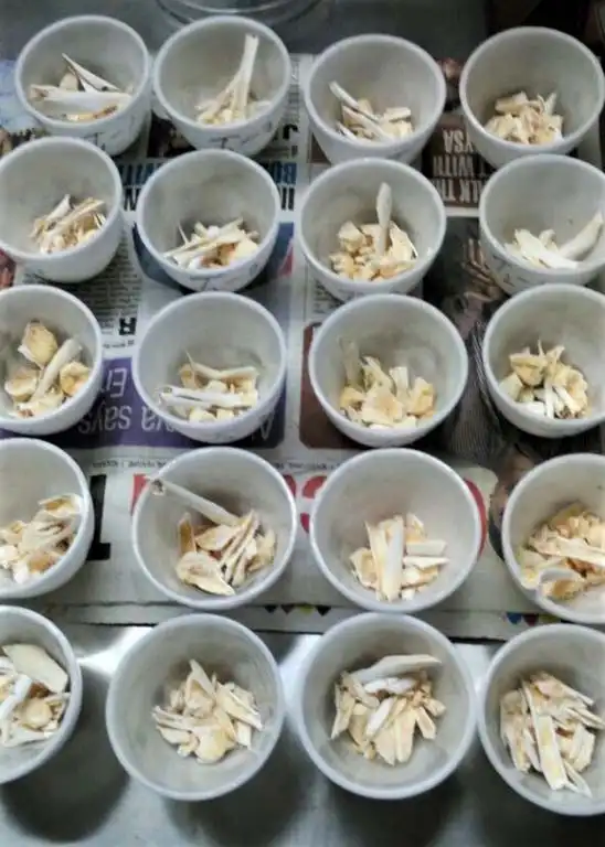 Laboratories Gallery 31