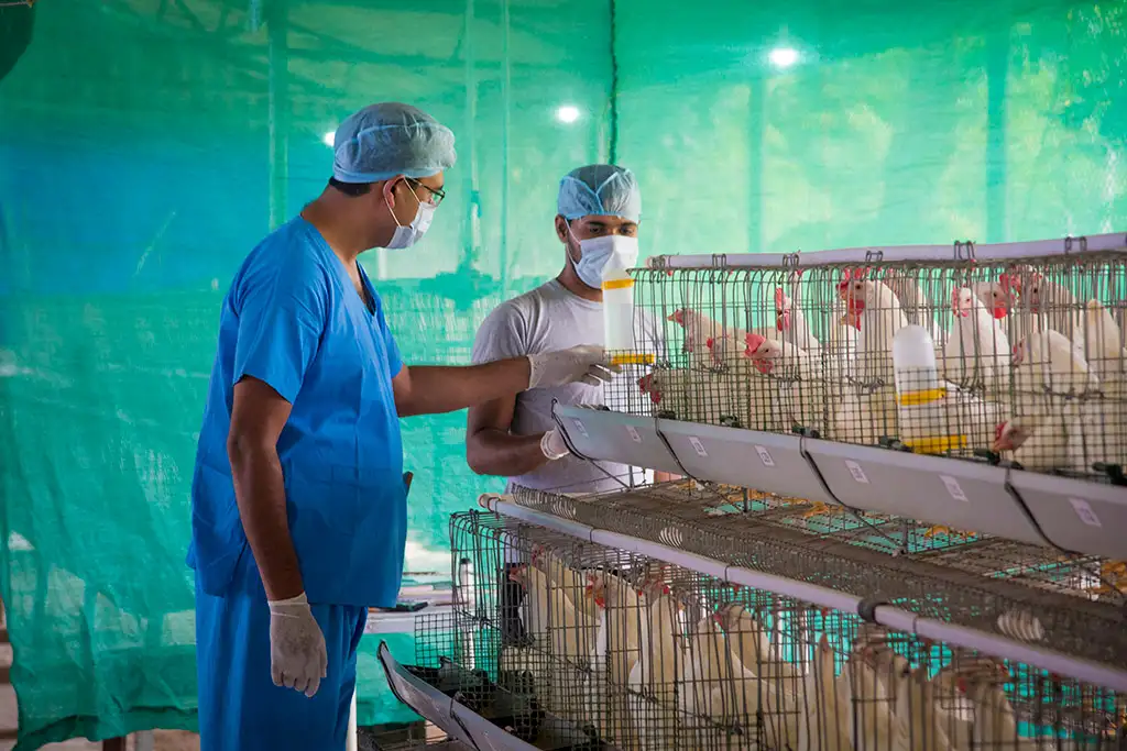 Layer Facility Gallery 10