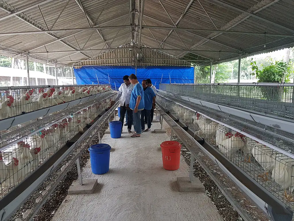 Layer Facility Gallery 15