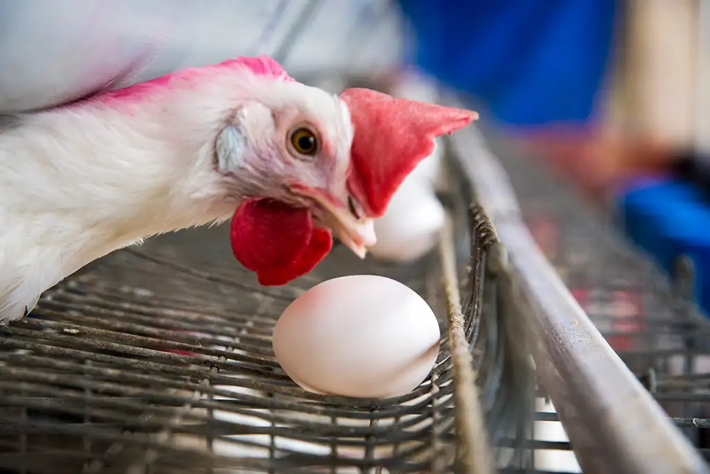 Layer Facility Gallery 5