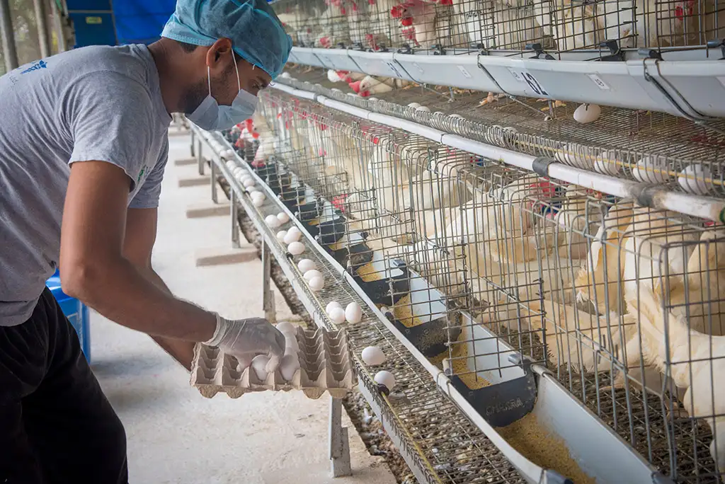 Layer Facility Gallery 6