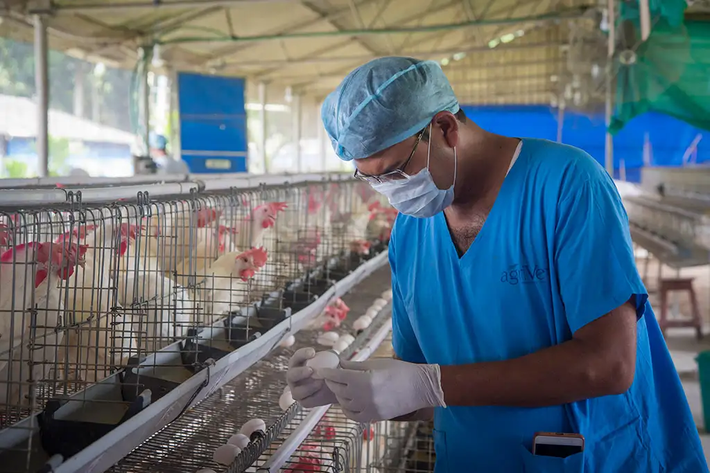 Layer Facility Gallery 9