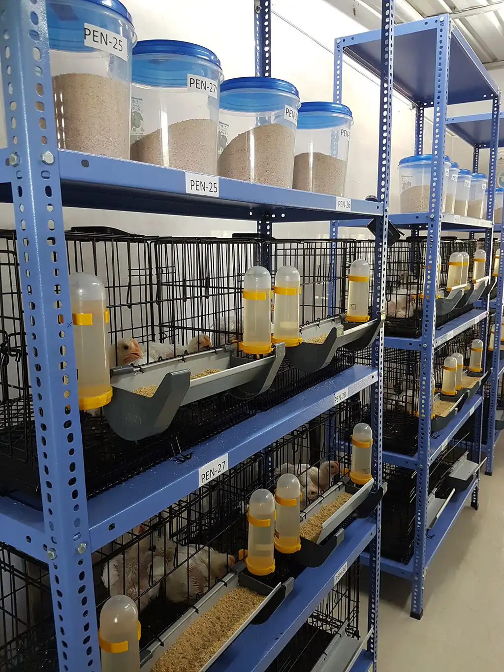 Metabolism Trial Facility Gallery 2