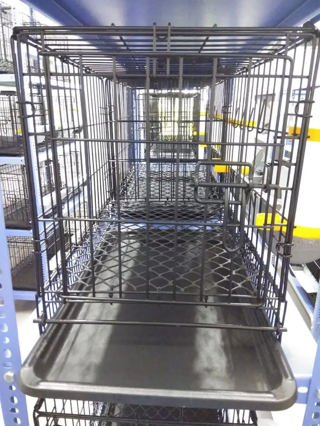 Metabolism Trial Facility Gallery 3