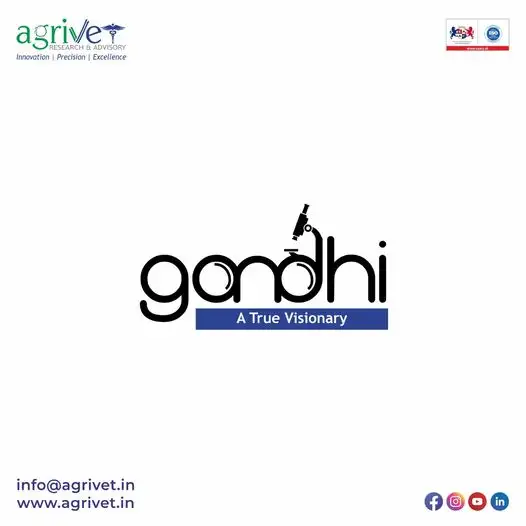 When We Are Social Gallery 11