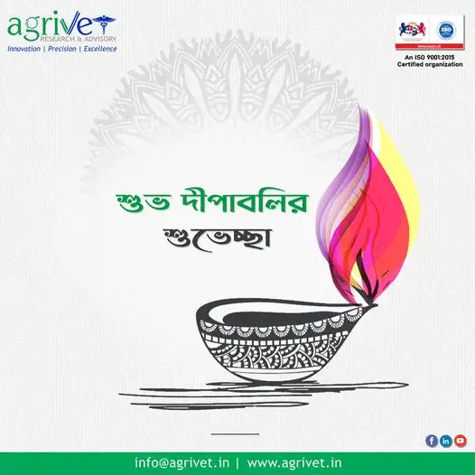 When We Are Social Gallery 15