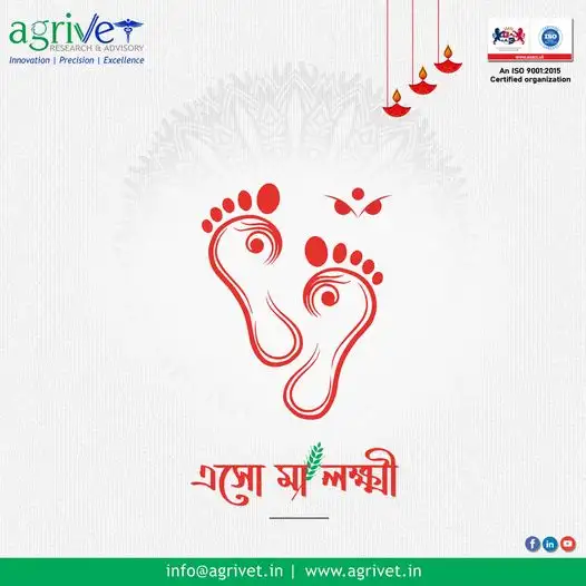 When We Are Social Gallery 52