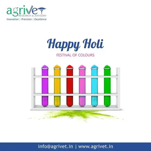 When We Are Social Gallery 53