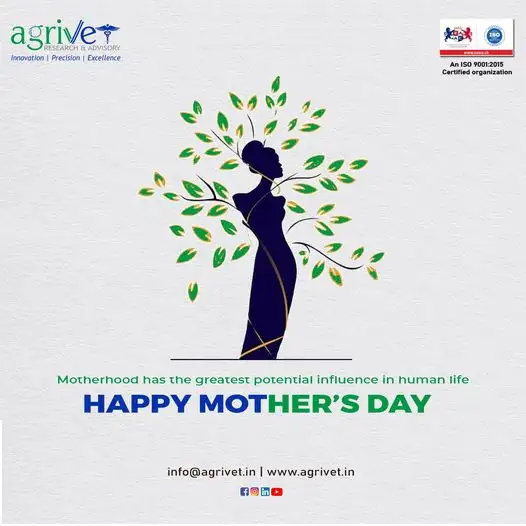 When We Are Social Gallery 60