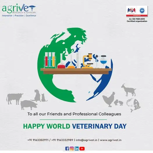 When We Are Social Gallery 64