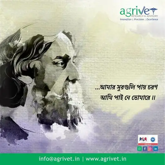 When We Are Social Gallery 67