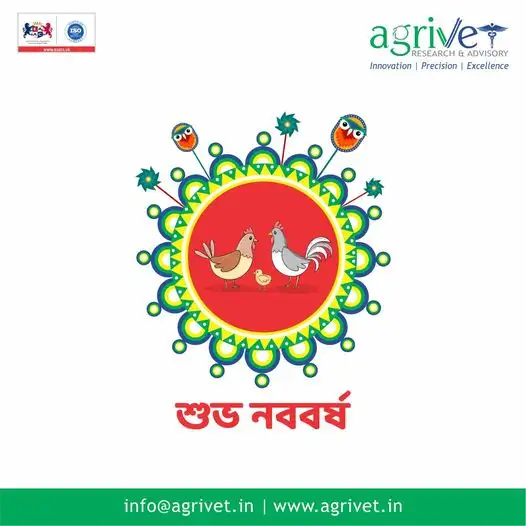 When We Are Social Gallery 8