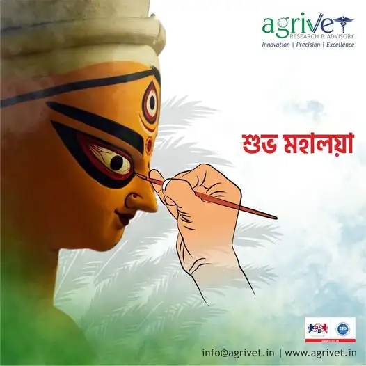 When We Are Social Gallery 73