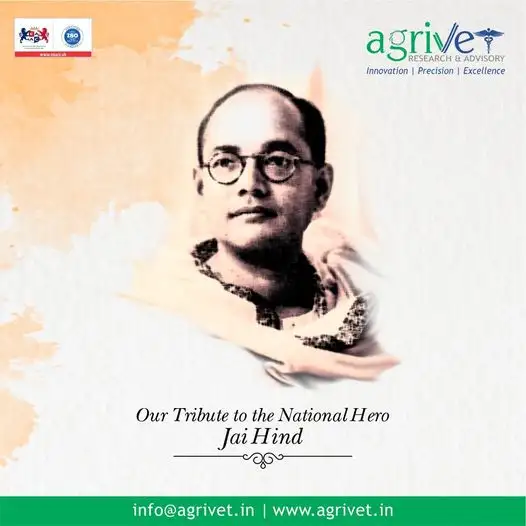 When We Are Social Gallery 74