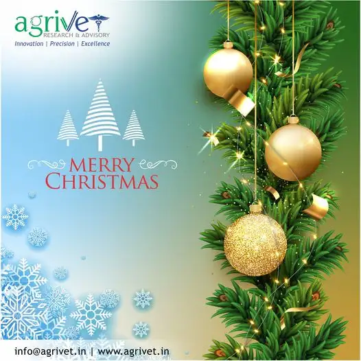 When We Are Social Gallery 76